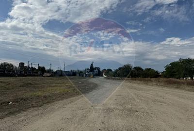 Teren Construcții intravilan de 5000 mp, în Vințu de Jos - 4