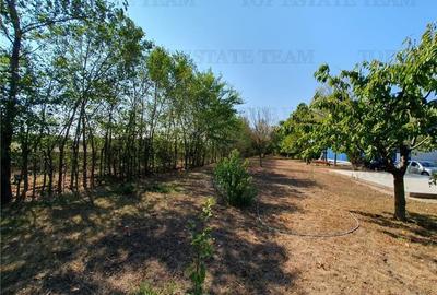 Teren intravilan agricol si teren curti constructii Lot 2 Parcela A326/49 Teren intravilan agricol si teren curti constructii Lot 2 Parcela A326/49 - 13