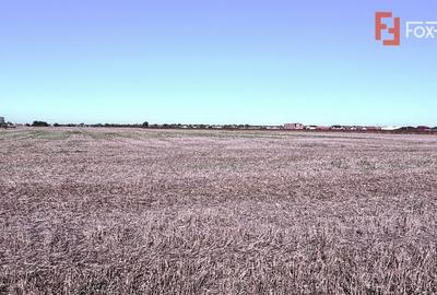 Teren Construcții extravilan de 40000 mp, în Sânandrei - 4