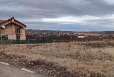 Teren de 4000 mp, în Tureni - 4