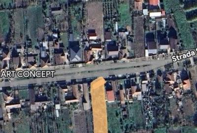 Teren Construcții intravilan de 1412 mp, în Remetea Mare - 2