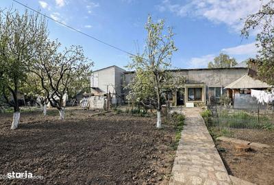 Spațiu comercial, în Chitila - 2