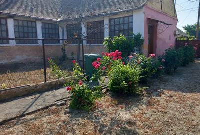 Casa batraneasca cu teren generos 2877 mp in satul Brestea (comuna Denta, jude?ul Timi?) - 1