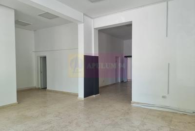 CORNETU (IF) - SPATIU DE VANZARE 124 MP - 2