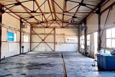 Spațiu industrial, de 980 mp, în Romanești - 5