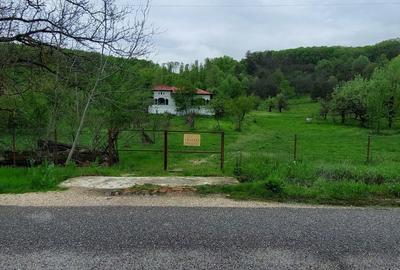 Casă cu 4 camere în Cotmeana - 7
