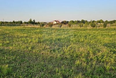 Teren Construcții intravilan de 1495 mp, în Dobreni - 30