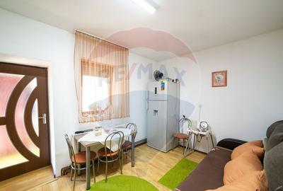 Imobil renovat, 2 apartamente, gradina ?i garaj Turnu - 10