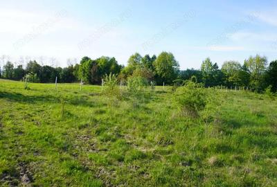 Teren 38,592mp Sighetu Marmatiei / Strada Mocani?ei - 7