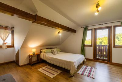 FILM! Pachet complet pt turism si sau rezidenta, Tohanita, Z - 26