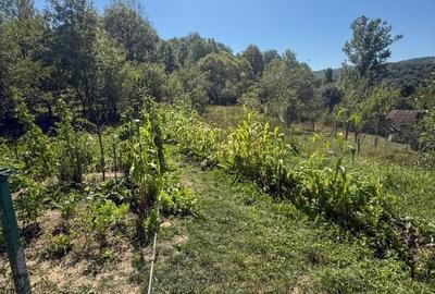 Casa de vacanta sau rezidenta in Adunati, buget redus - 12