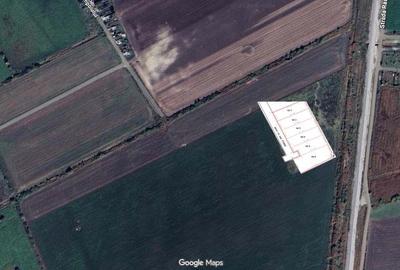 Spațiu comercial, în Colonia Bod - 2