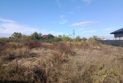 Teren de vânzare – Cornetu, str. Școlii 38 m dechidere 2973 mp Teren de vânzare – Cornetu, str. Școlii 38 m dechidere 2973 mp - 8