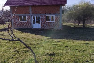 Casă cu 2 camere cu Teren 2000 Mp în Loranta - 5