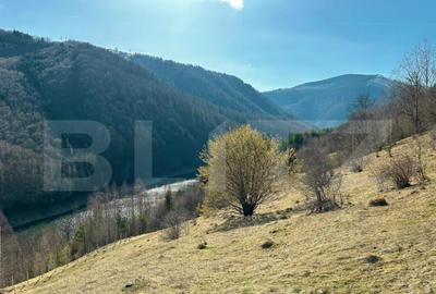 Teren 14 ha compact langa Lacul Tau Bistra - 1