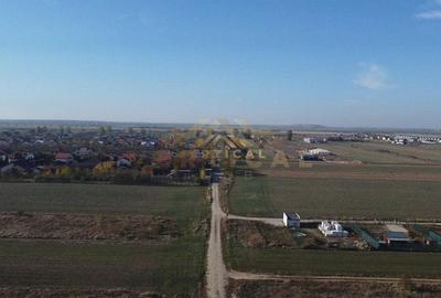 Teren intravilan 36 rate, com Vidra - 1