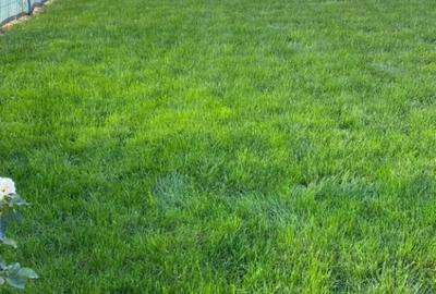 Casă cu 4 camere cu Teren 1000 Mp în Grădiștea - 6