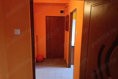 Garsoniera spa?ioasa de 32,83 mp, situata la etajul 4 IN sta?iunea Geoagiu-Ba - 5