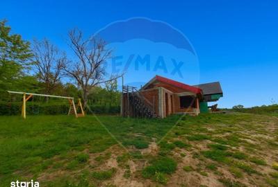 Casă cu 4 camere cu Teren 10130 Mp în Desești - 12