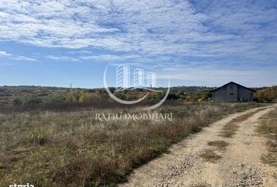 Teren de 3961 mp, în Paleu - 5