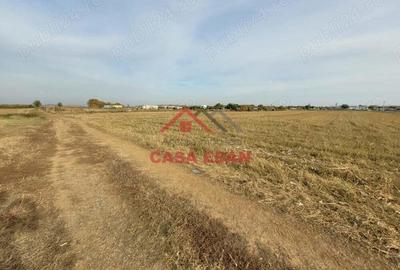 Teren intravilan in Baicoi zona targului--10.000mp--5e - 8