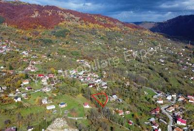 Teren de 1587 mp, în Arefu - 2