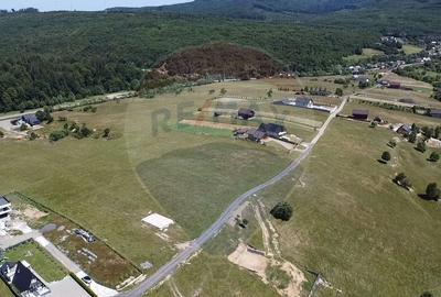 Teren 3,757mp Paltinoasa / Strada principala - 11