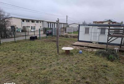 Teren de 400 mp, în Mogoșoaia - 6