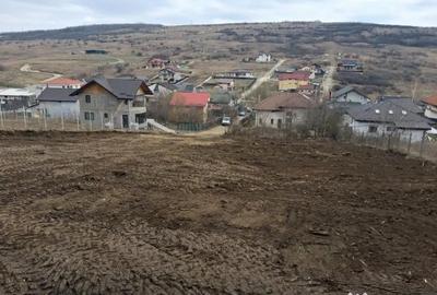 Teren de 1350 mp, în Dorobanț - 16