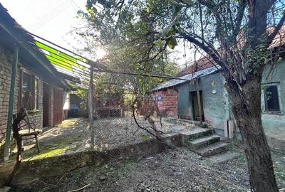 Bocsa Romana, 2 Corpuri de cladire cu Teren de 555 mp. si garaj, la sosea - 11