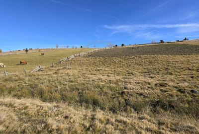 Teren extravilan, 4130mp, cu parau, la 500m de Primaria Marisel - 10