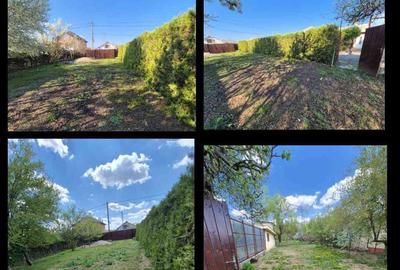 Casă cu 8 camere cu Teren 2529 Mp în Bolintin-Deal - 8