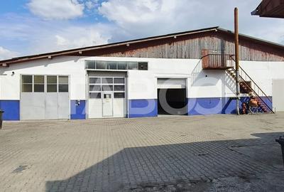 Spatiu industrial de 300 mp de inchiriat in Sebes Alba
