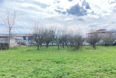 Teren Construcții intravilan de 7000 mp, în Berevoești - 13