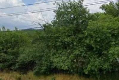 Teren intravilan Furesti, jud. Arges - ID R1965298 - 4