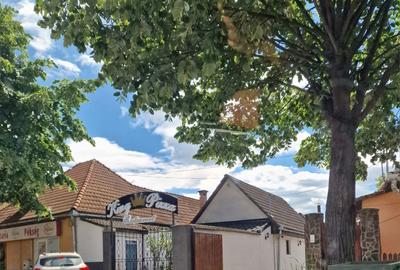 Spațiu comercial, de 300 mp, în Unirii - 1