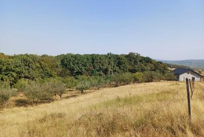 Teren de 250 mp, în Exterior Vest - 3