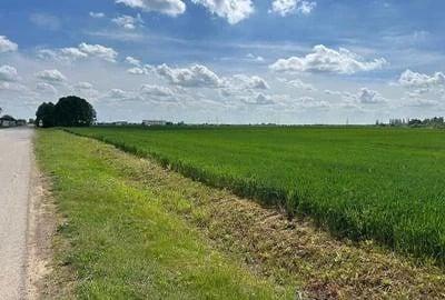 Teren de 5000 mp, în Moara Vlăsiei - 1