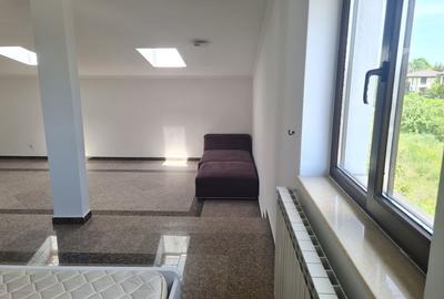 Casa individuala | semi-mobilata | 6 camere | Iancu Nicolae - 21