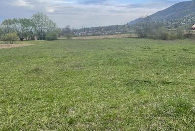 Teren de 5400 mp, în Copalnic - 2