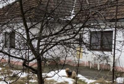 Casă cu 4 camere în Craiter - 8