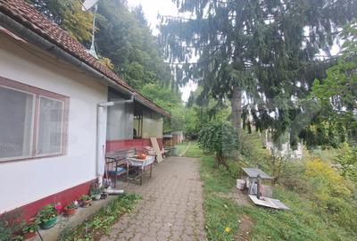 Casă cu 2 camere cu Teren 1000 Mp în Vulcan - 9