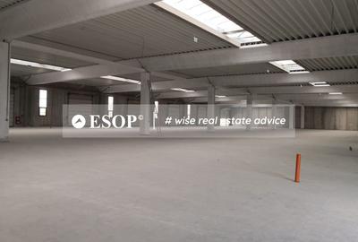 Hale industriale, parc modern, Rudeni, Chitila, Ilfov- ID 15462 Hale industriale, parc modern, Rudeni, Chitila, Ilfov- ID 15462 - 13