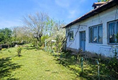 Spațiu comercial, în Mlecănești - 2