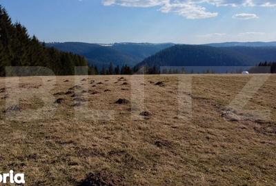 Teren de 10909 mp, în Râșca - 9