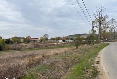 Teren de 8665 mp, în Central - 3