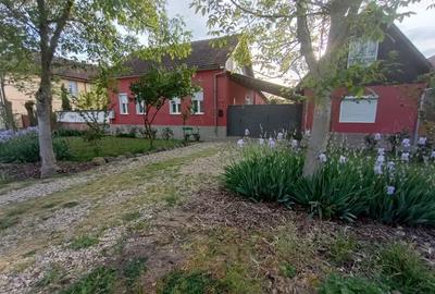 Casă cu 3 camere cu Teren 900 Mp în Central - 1