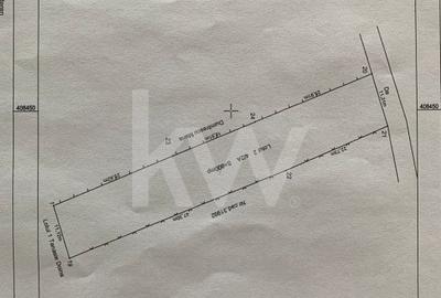 Vatra de casa si plantatie de vita de vie - 4