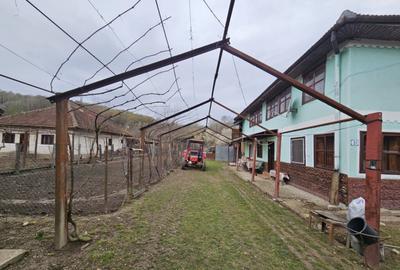 Casa P+1 situata in comuna Ciuperceni - 15