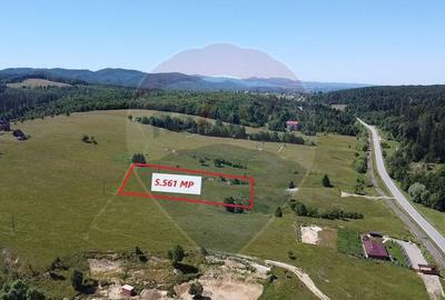 Teren 5,561mp Paltinoasa / Strada principala - 1